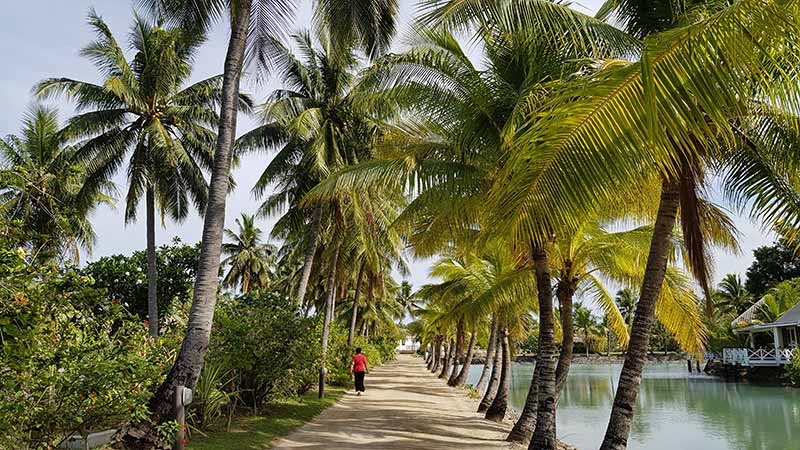 image of Viti Levu in Fiji