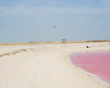 pink beach in Bahamas