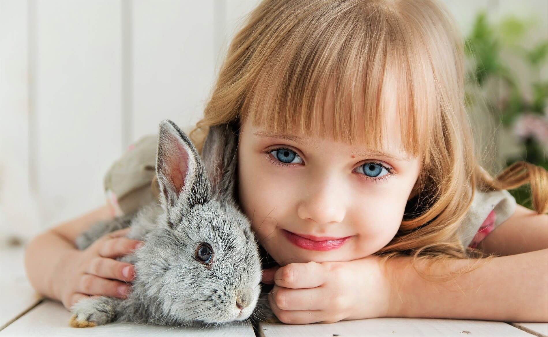 8-best-friendly-pets-for-kids-top-ideas