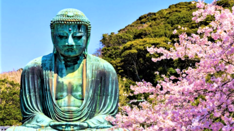 12 Truly Astounding Places To Visit In Japan